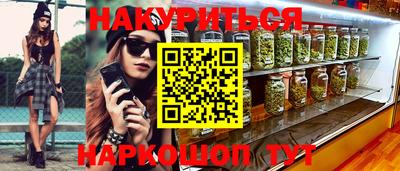 гидра Будённовск