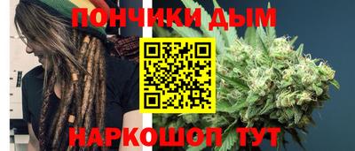 гидра Будённовск
