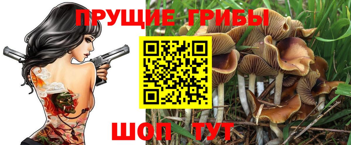 Псилоцибиновые грибы ЛСД Гусиноозёрск