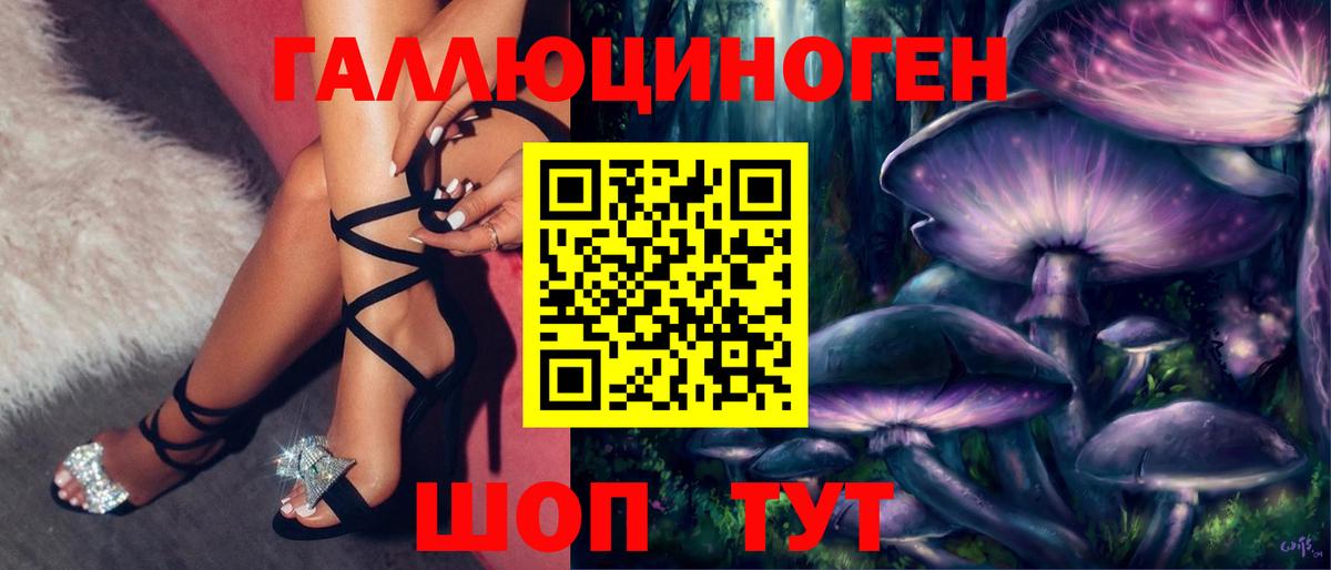 Псилоцибиновые грибы Cubensis  Вход с VPN  Гусиноозёрск 