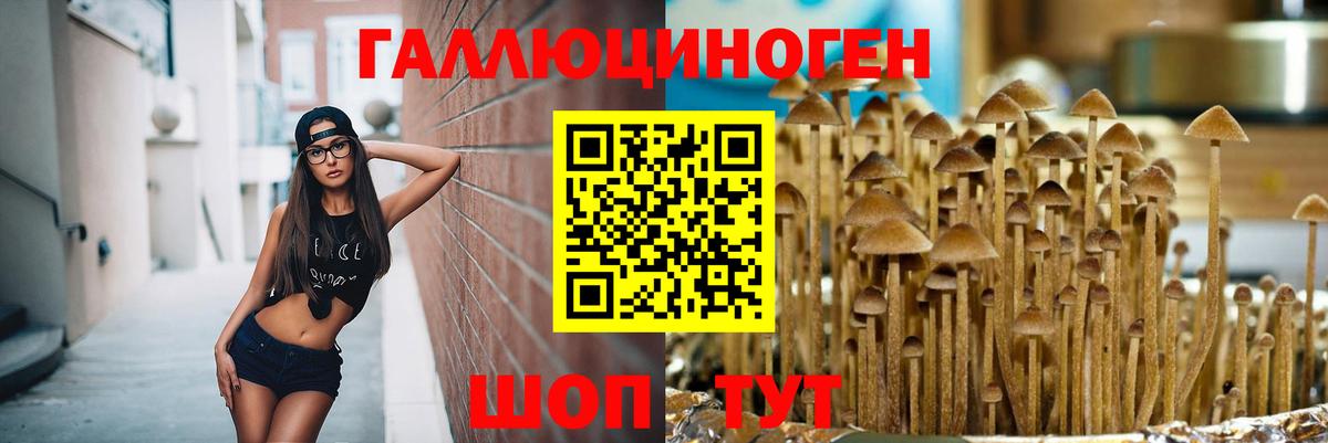 Галлюциногенные грибы мухоморы  Галлюциногенные грибы Magic Shrooms  Гусиноозёрск 